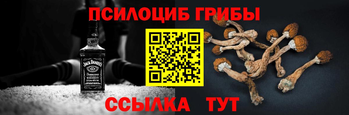 Галлюциногенные грибы MAGIC MUSHROOMS Полысаево